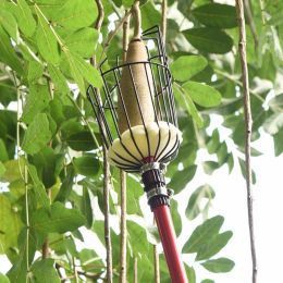 Worauf muss ich bei der Apfelernte achten?