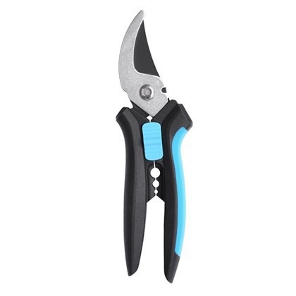 Handbypass -Pflaumen