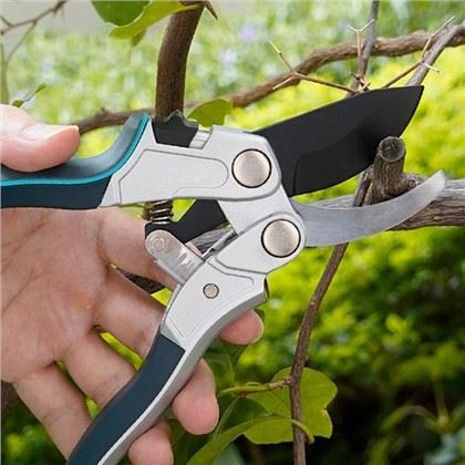 Auswahl der perfekten Gartenschere für Ihre Apfelbäume: Ein Leitfaden für Gär...