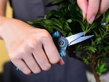 Warum haben wir die neue und größere Schere auf den Markt gebracht?