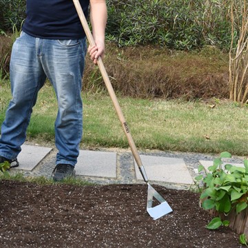 Die Vorteile der Gründung eines Gemüsegartens