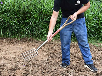 Kurze Einführung in die russische Gartenkultur