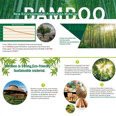 Tipps für ein blühendes Paradies