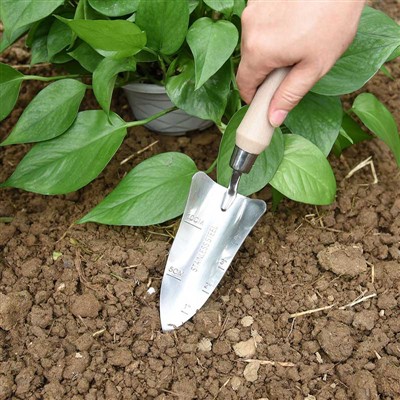 Gartenpflanztagebuch -1