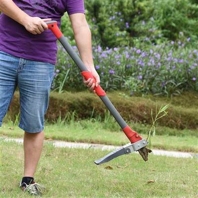 Steh Unkraut für müheloses Unkrautsteine ​​auf