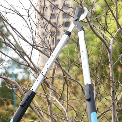 Gartenarbeit für vielbeschäftigte Menschen: Tipps für die Pflege Ihres Garten...