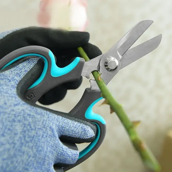 Beschneiden Scheren und Rosen werden sein A Perfekt Match