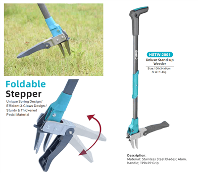 Das Mittherbstfest auf der ganzen Welt feiern: Eine Harmonie aus Tradition un...